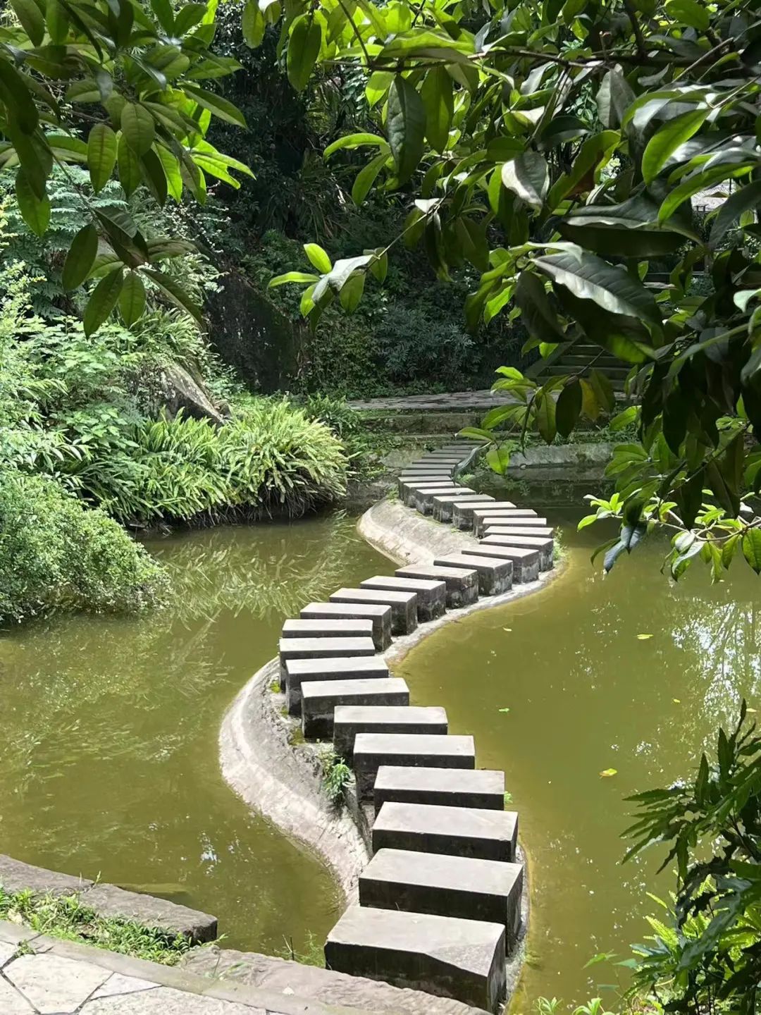 DƬ